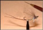 Mayfly.jpg 25KB