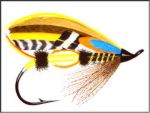 Fly1.jpg 38KB