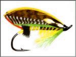 Fly3.jpg 31KB